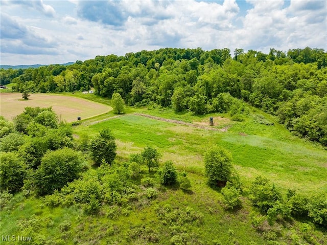 State Route 124, Portland, OH 45770