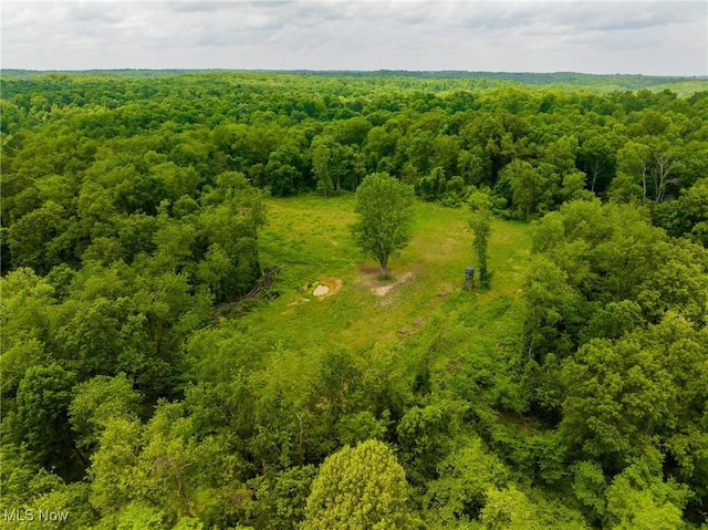 State Route 124, Portland, OH 45770