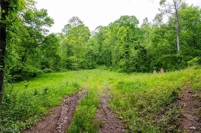 State Route 124, Portland, OH 45770