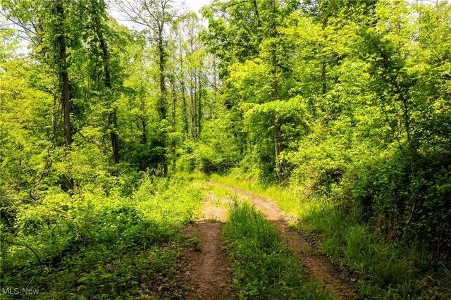 State Route 124, Portland, OH 45770