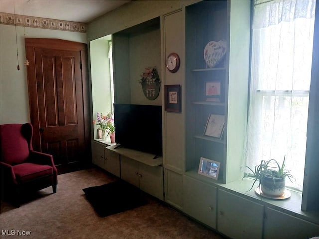 2775 Sr 9, Salem, OH 44460 - living room with carpet floors