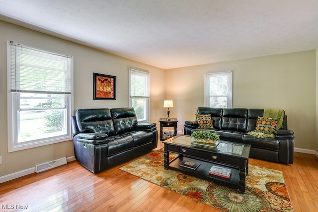 139 Elm Ct, Chagrin Falls, OH 44022 - living room featuring hardwood / wood-style floors, plenty of natural light, and baseboards