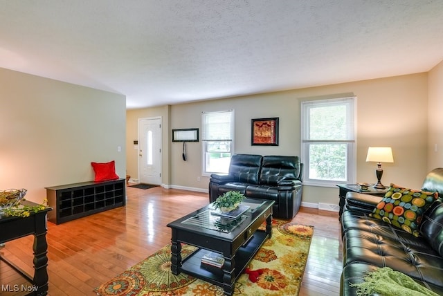 139 Elm Ct, Chagrin Falls, OH 44022 - living room with light wood-style floors and baseboards