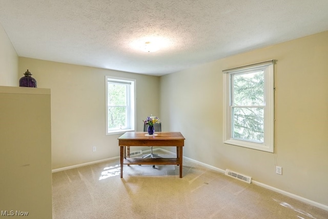 139 Elm Ct, Chagrin Falls, OH 44022 - carpeted home office with plenty of natural light, a textured ceiling, and baseboards