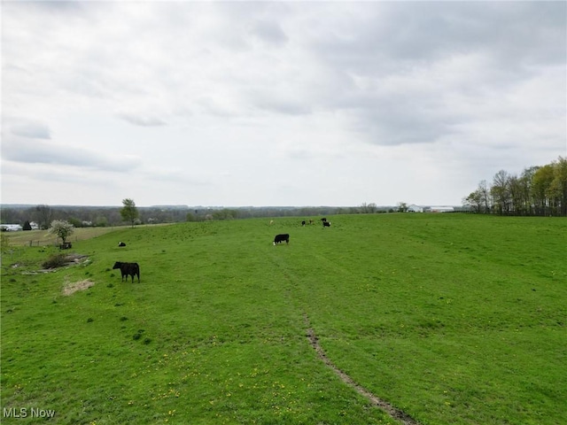 16321 Burton Windsor Rd, Middlefield, OH 44062 - view of yard featuring a rural view