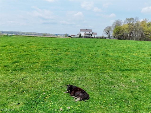 16321 Burton Windsor Rd, Middlefield, OH 44062 - view of green lawn with a rural view