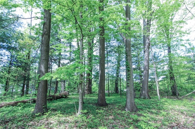 0 Norton Rd, Hudson, OH 44236