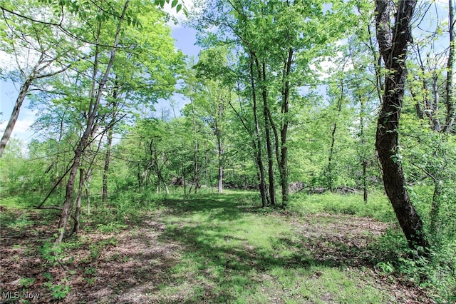 0 Norton Rd, Hudson, OH 44236