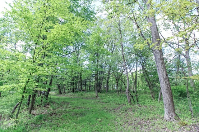 0 Norton Rd, Hudson, OH 44236
