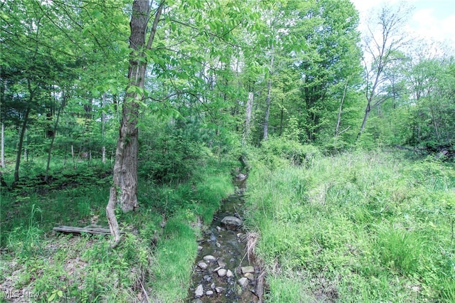 0 Norton Rd, Hudson, OH 44236