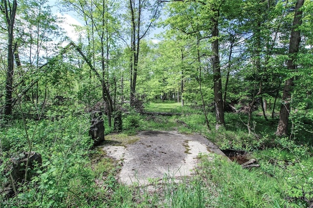0 Norton Rd, Hudson, OH 44236