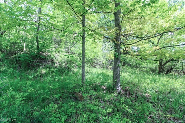 0 Norton Rd, Hudson, OH 44236