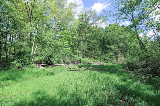 0 Norton Rd, Hudson, OH 44236