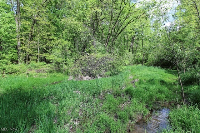 0 Norton Rd, Hudson, OH 44236