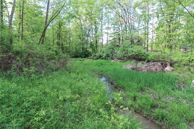 0 Norton Rd, Hudson, OH 44236