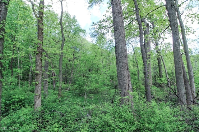 0 Norton Rd, Hudson, OH 44236