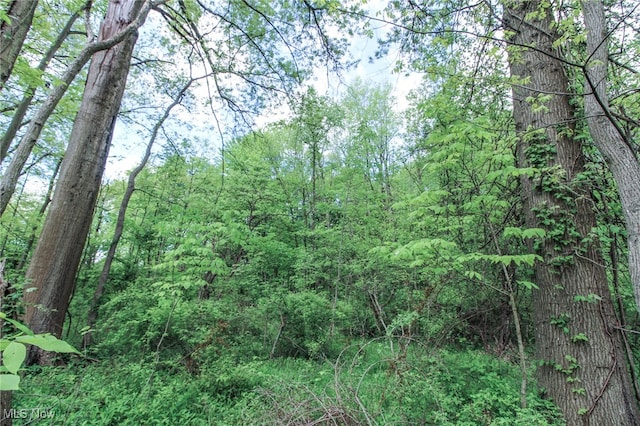 0 Norton Rd, Hudson, OH 44236