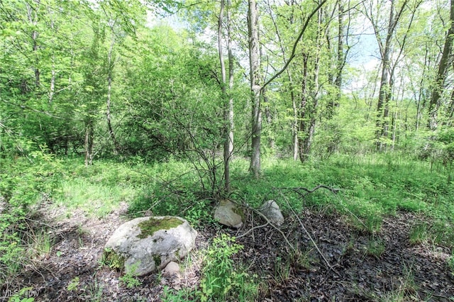 0 Norton Rd, Hudson, OH 44236