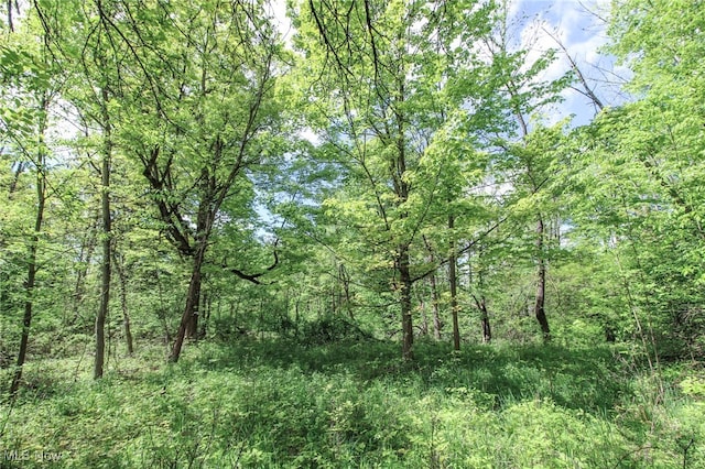 0 Norton Rd, Hudson, OH 44236