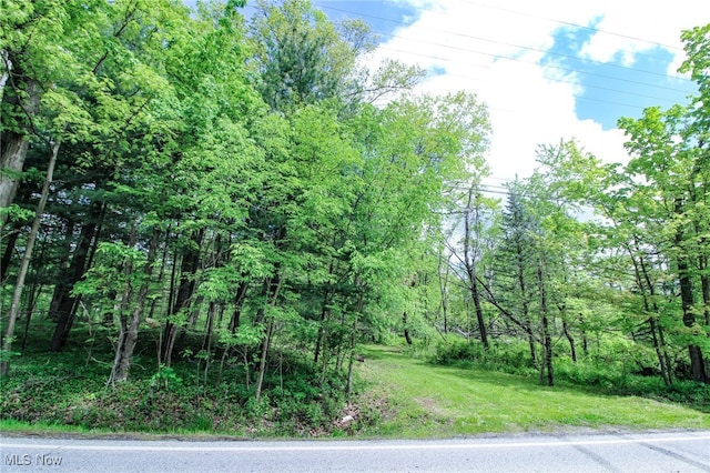 0 Norton Rd, Hudson, OH 44236