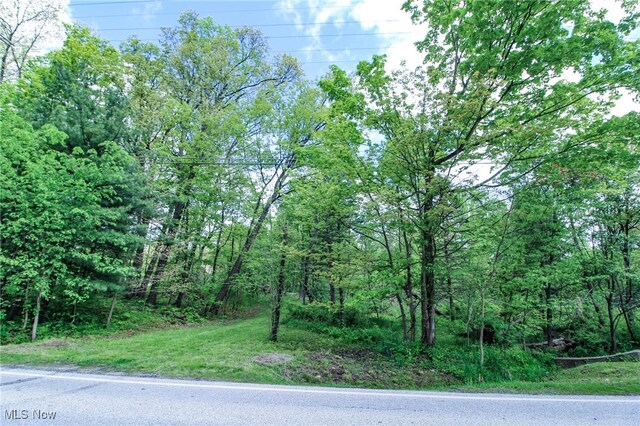 0 Norton Rd, Hudson, OH 44236