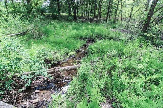 0 Norton Rd, Hudson, OH 44236