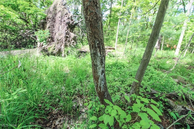 0 Norton Rd, Hudson, OH 44236