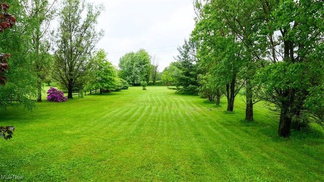 10597 State Route 82, Windham, OH 44288 - view of green lawn featuring view of scattered trees