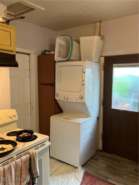 1293 W Jackson St, Painesville, OH 44077 - laundry room with stacked washer / dryer and light wood-style floors