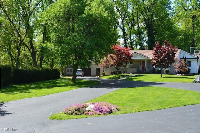 238 E Main St, New London, OH 44851 - view of property hidden behind natural elements with a front lawn and driveway