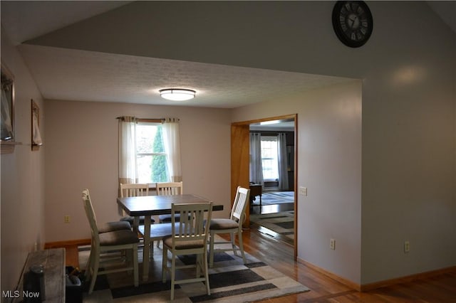 238 E Main St, New London, OH 44851 - dining room featuring plenty of natural light, wood finished floors, baseboards, and a textured ceiling