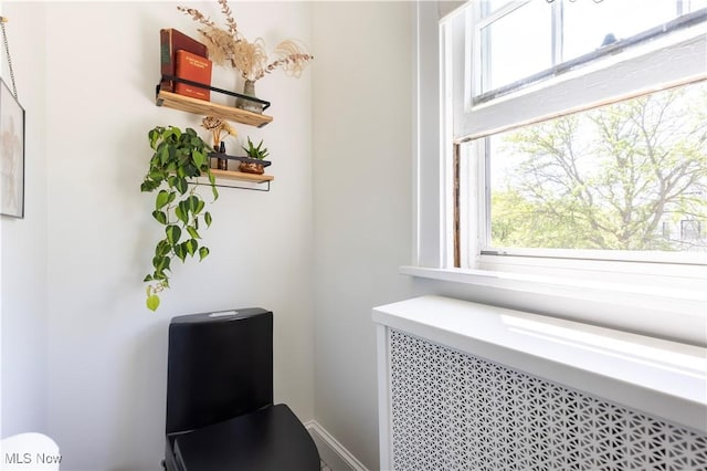 2671 Haddam Rd, Cleveland, OH 44120 - detailed view of radiator and baseboards