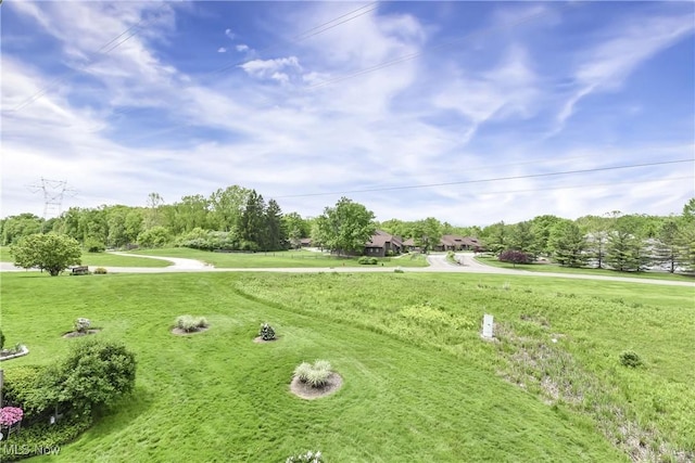 1145 Canyon View Rd Unit 206, Sagamore Hills, OH 44067 - view of home's community with view of wooded area and a lawn