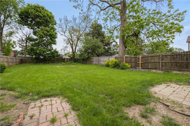 1138 W 6th St, Lorain, OH 44052 - view of yard