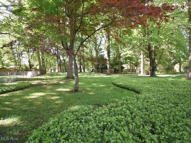 4628 Monticello Blvd, South Euclid, OH 44143 - view of yard