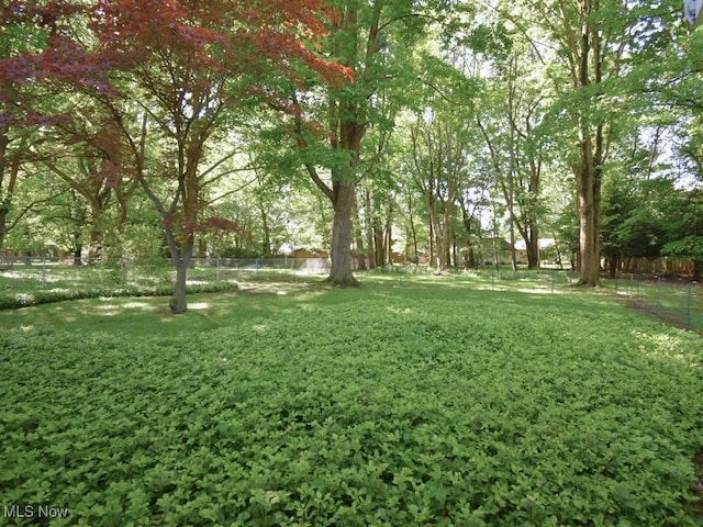 4628 Monticello Blvd, South Euclid, OH 44143 - view of yard