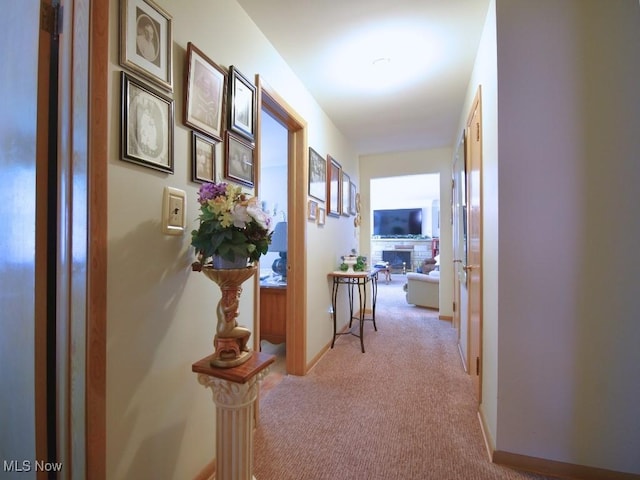 4628 Monticello Blvd, South Euclid, OH 44143 - hallway featuring carpet floors and baseboards