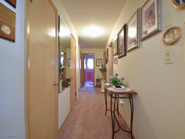 4628 Monticello Blvd, South Euclid, OH 44143 - corridor with light colored carpet