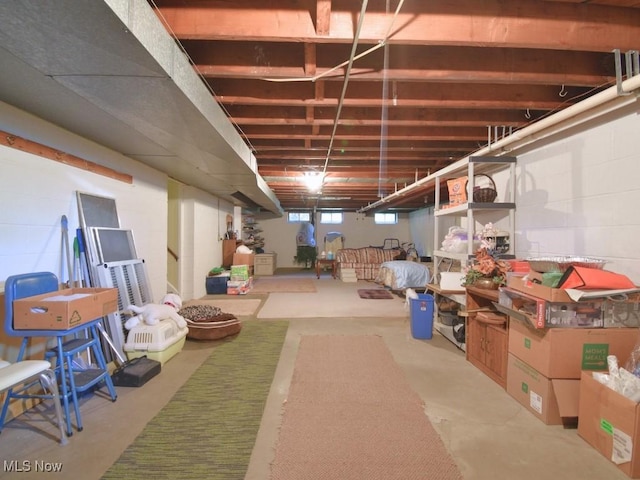 4628 Monticello Blvd, South Euclid, OH 44143 - view of below grade area