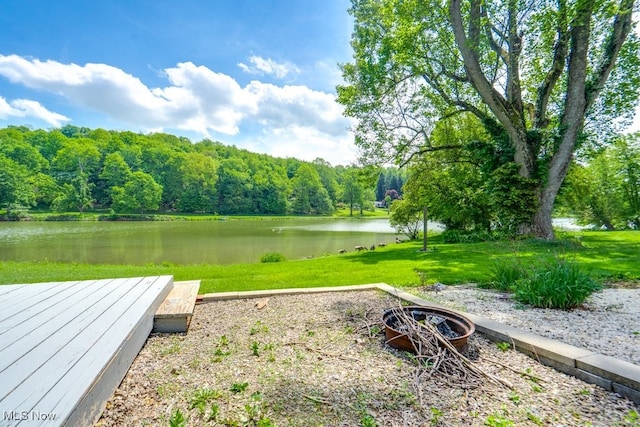 10311 Myers Rd, Kensington, OH 44427 - view of green lawn with a water view and a forest view