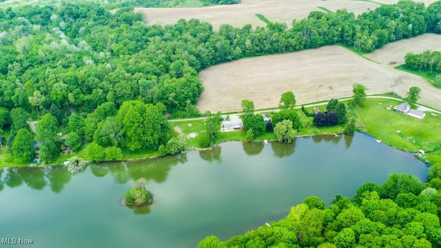10311 Myers Rd, Kensington, OH 44427 - bird's eye view of a large body of water