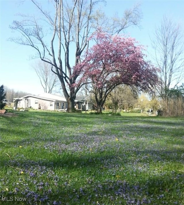 10311 Myers Rd, Kensington, OH 44427 - view of yard