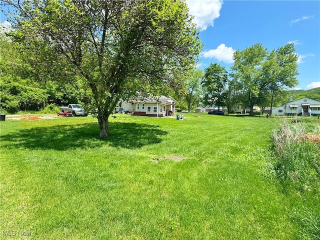78 Findley St, Dillonvale, OH 43917 - view of grassy yard
