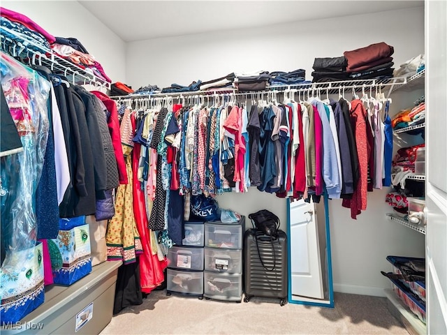 3243 Broadleaf Way, Brunswick, OH 44212 - spacious closet featuring carpet