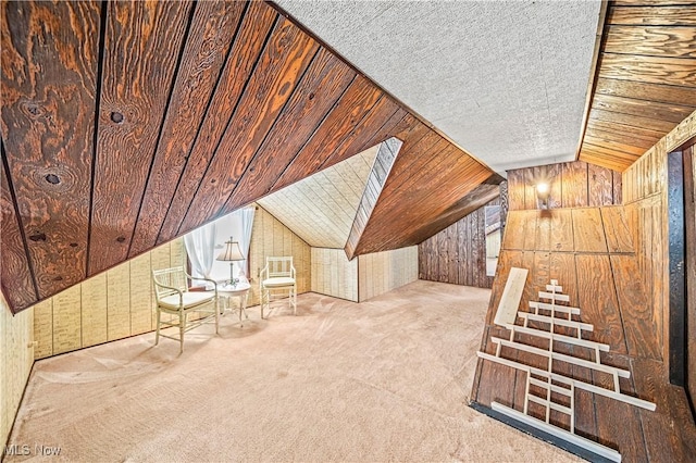 131 E 206th St, Euclid, OH 44123 - bonus room featuring wood walls, carpet flooring, lofted ceiling, and a textured ceiling