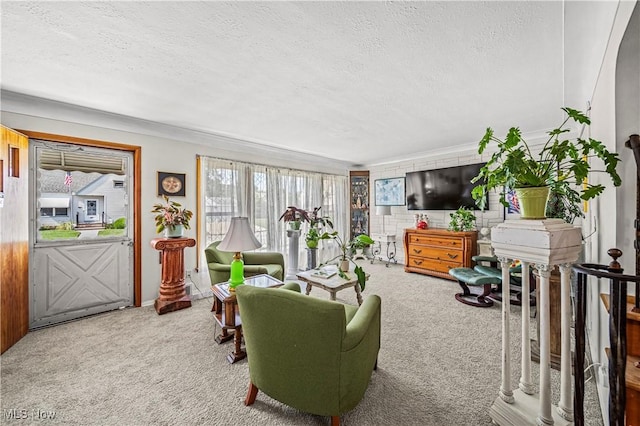 131 E 206th St, Euclid, OH 44123 - living room featuring a textured ceiling, carpet flooring, and crown molding