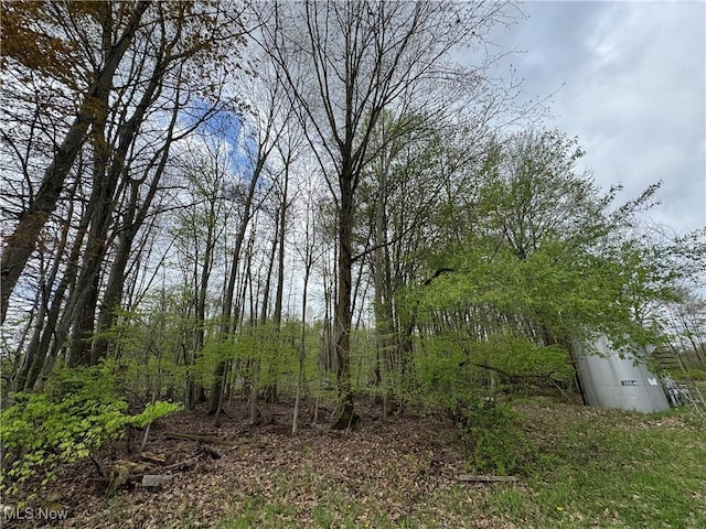 V/L State Line Rd, Conneaut, OH 44030