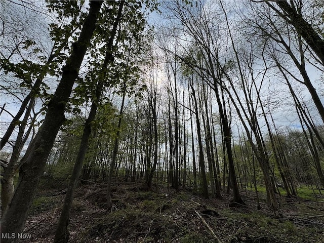 V/L State Line Rd, Conneaut, OH 44030