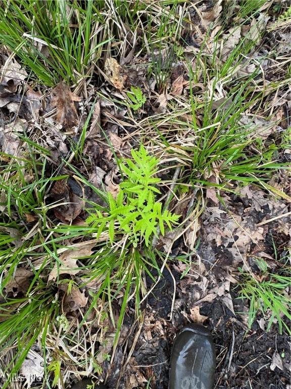 V/L State Line Rd, Conneaut, OH 44030