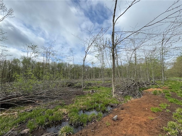 V/L State Line Rd, Conneaut, OH 44030